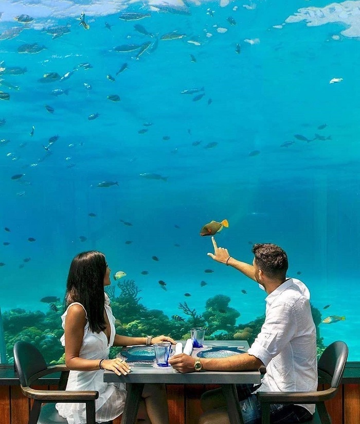 check-in những nhà hàng dưới nước độc đáo nhất thế giới trải nghiệm tuyệt vời cho người 'biết hưởng'