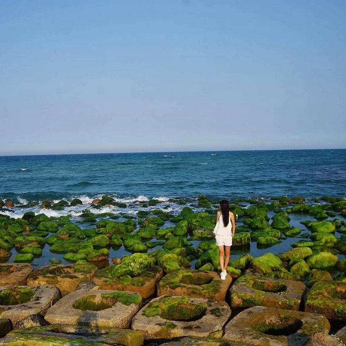 Muốn sống ảo kiểu hoang sơ, bạn phải check in 3 bãi biển phủ rêu xanh đẹp nhất Việt Nam