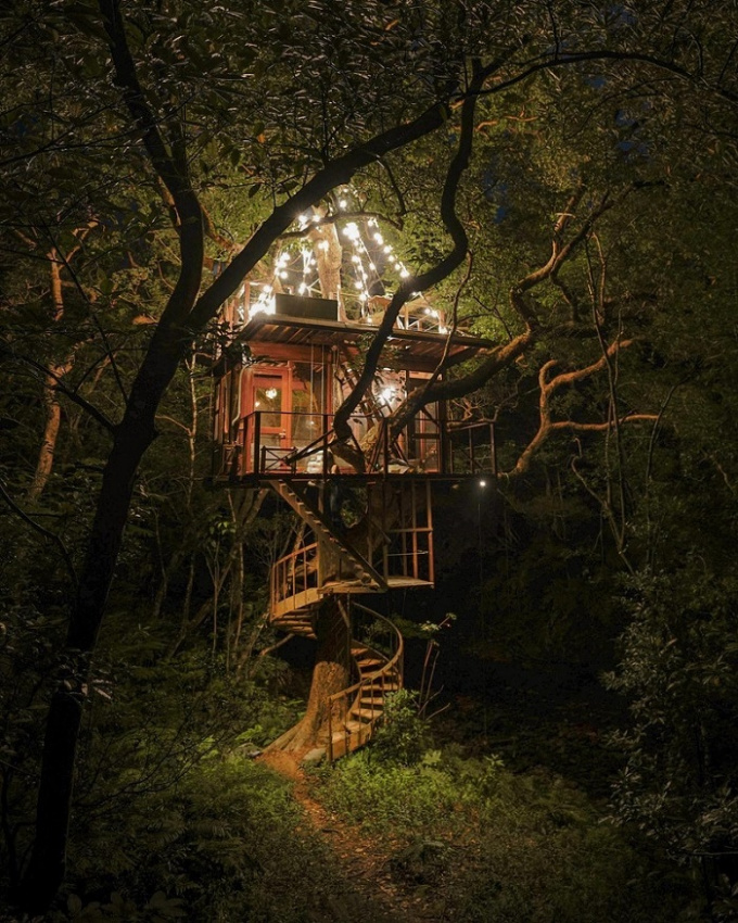 hóa tarzan ‘đu đưa’ giữa rừng xanh tại 7 khách sạn trên cây hot nhất năm 2021