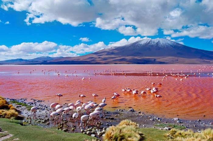 ngỡ ngàng cảnh sắc 10 hồ nước tự nhiên đẹp nhất hành tinh khiến bạn không thể rời mắt