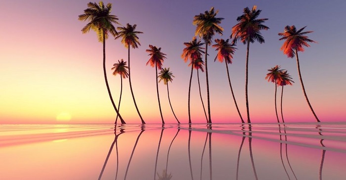 Tìm kiếm trải nghiệm khác biệt, hãy đến 10 bãi biển màu hồng đẹp nhất thế giới