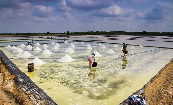 Đẹp lạ lùng hình ảnh lao động trên cánh đồng muối Việt Nam