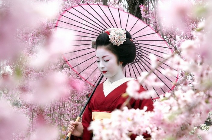 cảnh đẹp mộc châu, cánh đồng hoa hà giang, du lịch hà giang, du lịch sapa, du lịch đà lạt, hoa đào ở lóng luông, rực rỡ sắc màu lễ hội hanami ở nhật bản