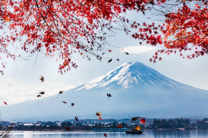 Kinh nghiệm xin visa du lịch Nhật Bản từ A đến Z
