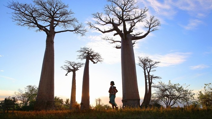 Những điều đặc biệt làm nên lục địa thứ 8 Madagascar
