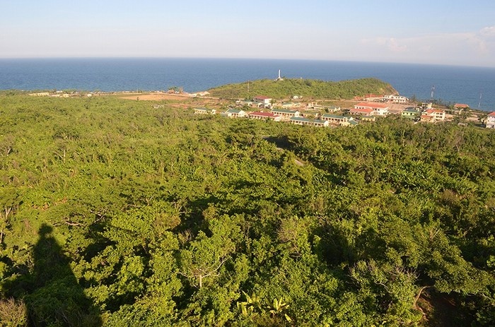 du lịch biển đảo, du lịch quảng trị, kinh nghiệm du lịch, san hô, kinh nghiệm du lịch đảo ‘mắt thần’ của phương bắc - cồn cỏ - kỳ 2