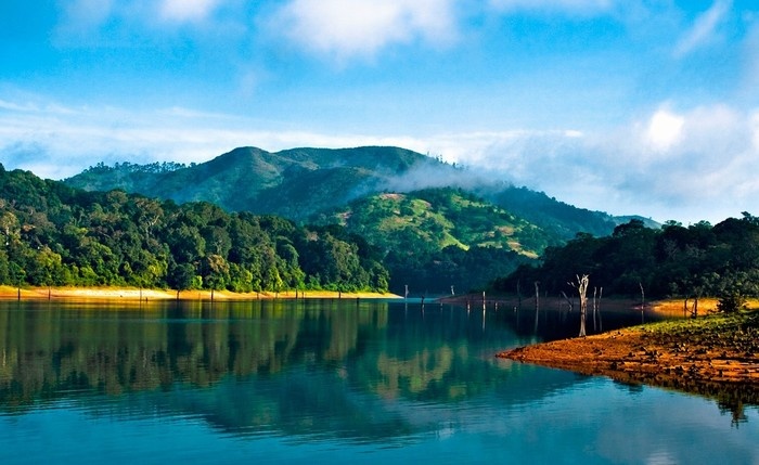Top 6 khu rừng ma mị được xướng tên ‘tiên cảnh’ trên mặt hồ - Kỳ 2