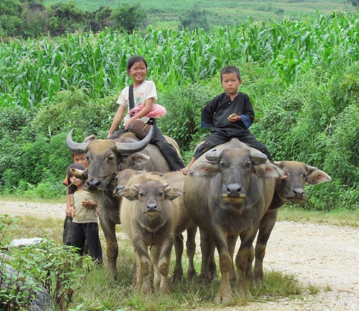 Hành trình du lịch Việt Nam làm thay đổi nhận thức về cuộc sống
