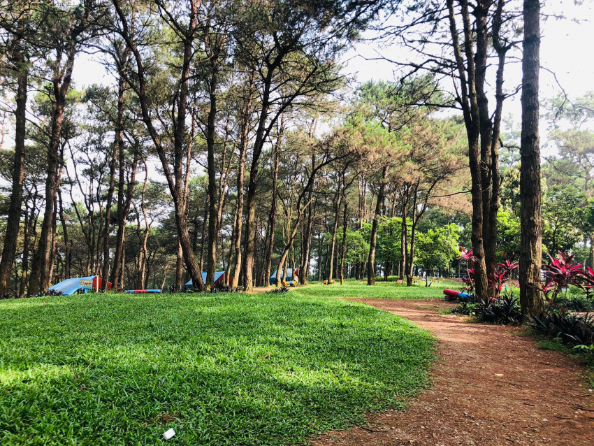 picnic, hà nội, địa điểm picnic ở hà nội, địa điểm picnic lý tưởng hà nội, du lịch hà nội, top 6 địa điểm picnic ở hà nội lý tưởng cho dã ngoại cuối tuần