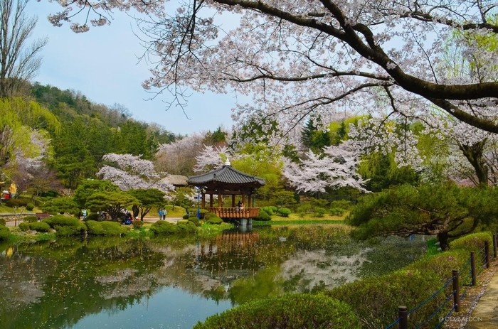 Lạc vào 10 thiên đường du lịch tuyệt đẹp của Hàn Quốc - Kỳ 1