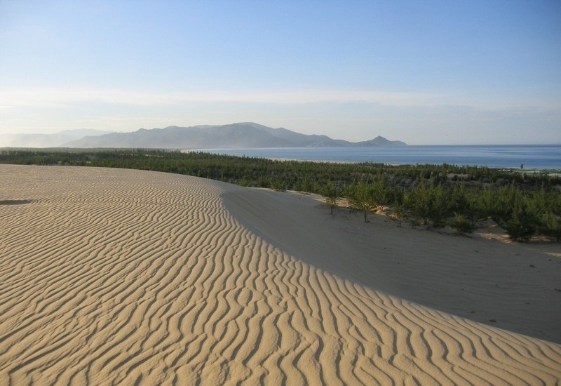 biển quy nhơn, du lịch bình định, đồi cát mũi né, bức tranh cát khổng lồ đầy mê hoặc của đồi cát phương mai - bình định