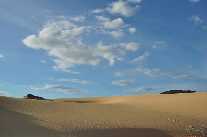 biển quy nhơn, du lịch bình định, đồi cát mũi né, bức tranh cát khổng lồ đầy mê hoặc của đồi cát phương mai - bình định