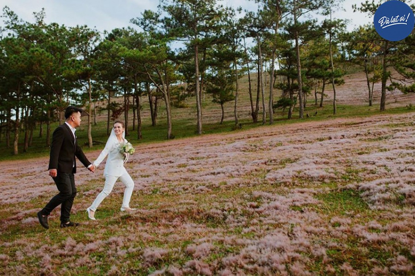 Những địa điểm chụp ảnh cưới hoàn toàn miễn phí được yêu thích nhất tại Đà Lạt
