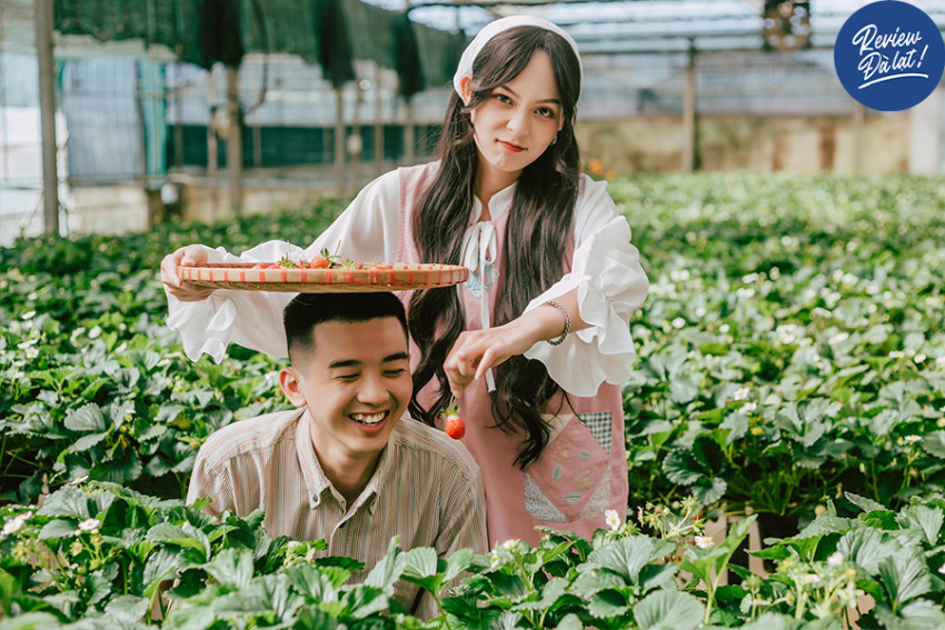 Hóa thân thành nông dân thứ thiệt tại Green Box Cafe – quán cà phê nông nghiệp tại Đà Lạt