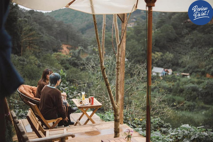 du lịch đà lạt, đi đâu ở đà lạt, in the forest, check-in tiệm cà phê nằm trong rừng – in the forest