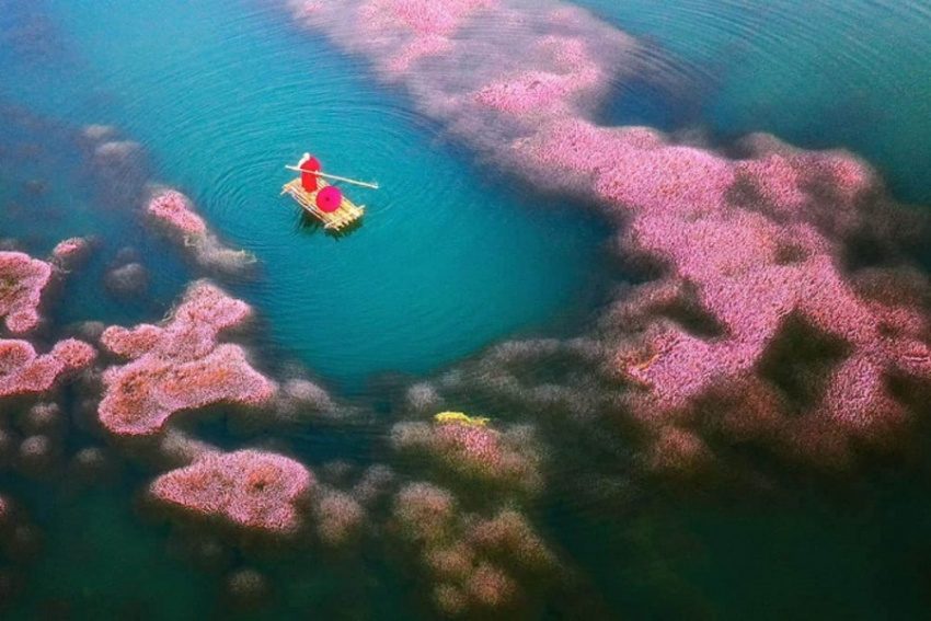 Check in Hồ tảo hồng sở hữu vẻ đẹp lay động lòng người