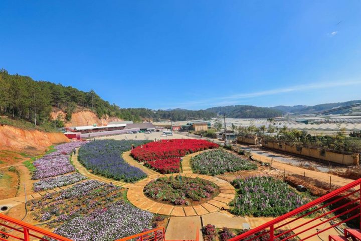 Nông trại cún kết hợp vườn hoa châu Âu đẹp ngất ngây tại Đà Lạt
