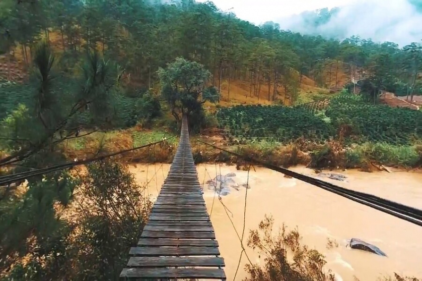 5 sự thật về cầu treo La Bá – vẻ đẹp hoang sơ nhưng nguy hiểm vô cùng giữa rừng núi đại ngàn Đà Lạt