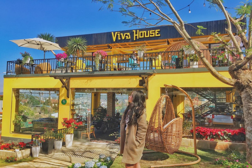 quán cafe viva house, viva house, viva house ở đà lạt, ghé quán cafe viva house đà lạt ngắm view triền đồi thông 360 độ