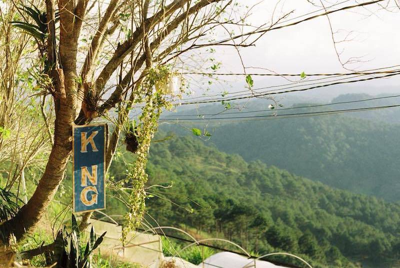 kong cafe, kong ở đà lạt, quán cafe kong, kong đà lạt