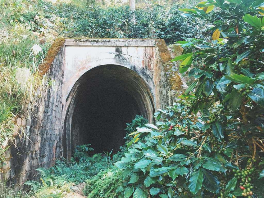 đường hầm hỏa xa, tham quan đường hầm hỏa xa, mục sở thị vẻ ma mị của đường hầm hỏa xa đà lạt