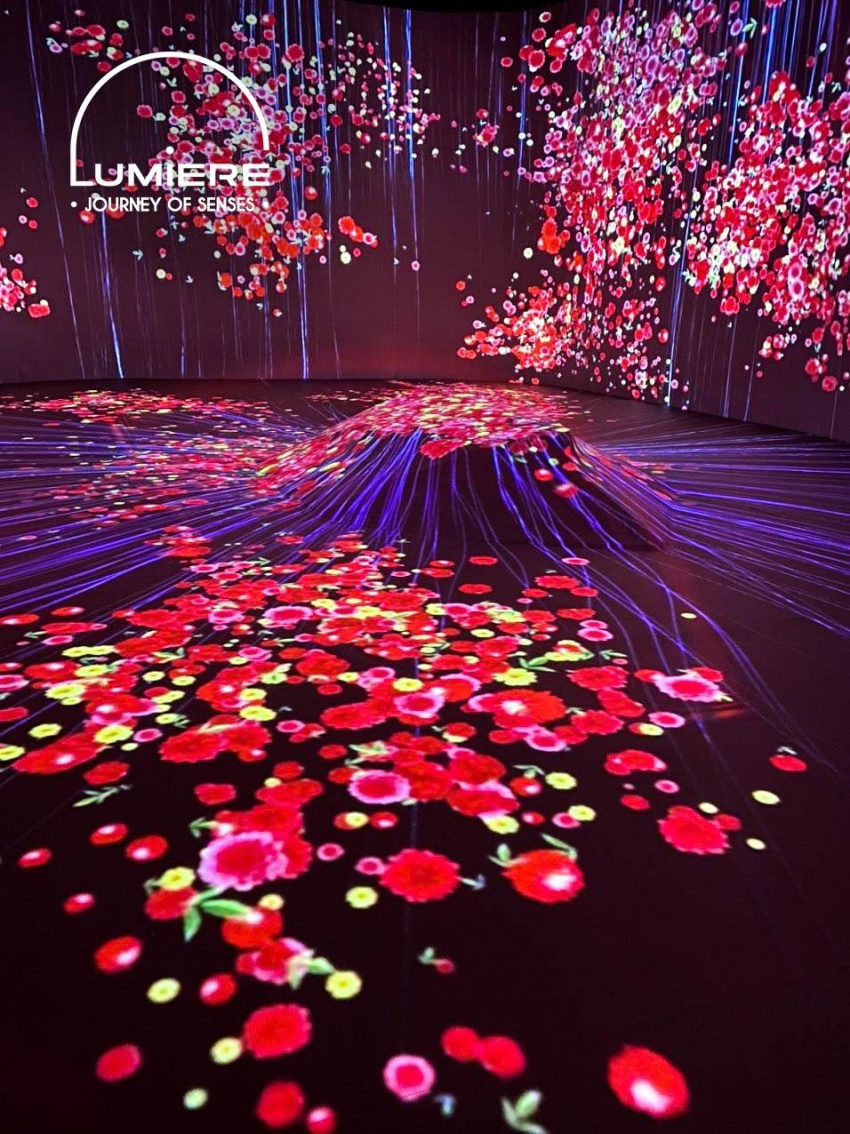không gian nghệ thuật lumiere, vườn ánh sáng lumiere, vườn ánh sáng lumiere ở đà lạt, đột kích vườn ánh sáng lumiere đà lạt mới toanh
