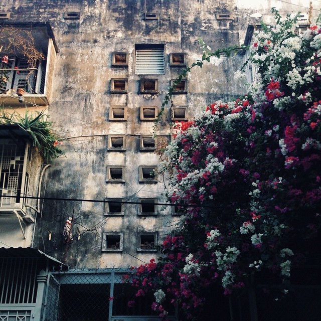 du khách nước ngoài, du lịch sài gòn, kiến trúc cổ xưa, sài gòn xưa qua những tấm ảnh chung cư cũ trên instagram
