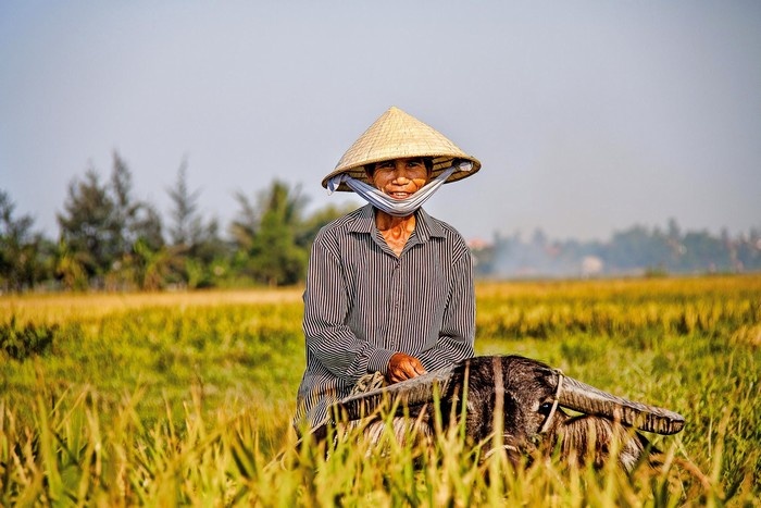 du lịch hội an, du lịch việt nam, phố cổ hội an, chuyện về chàng nhiếp ảnh gia pháp trót phải lòng với việt nam