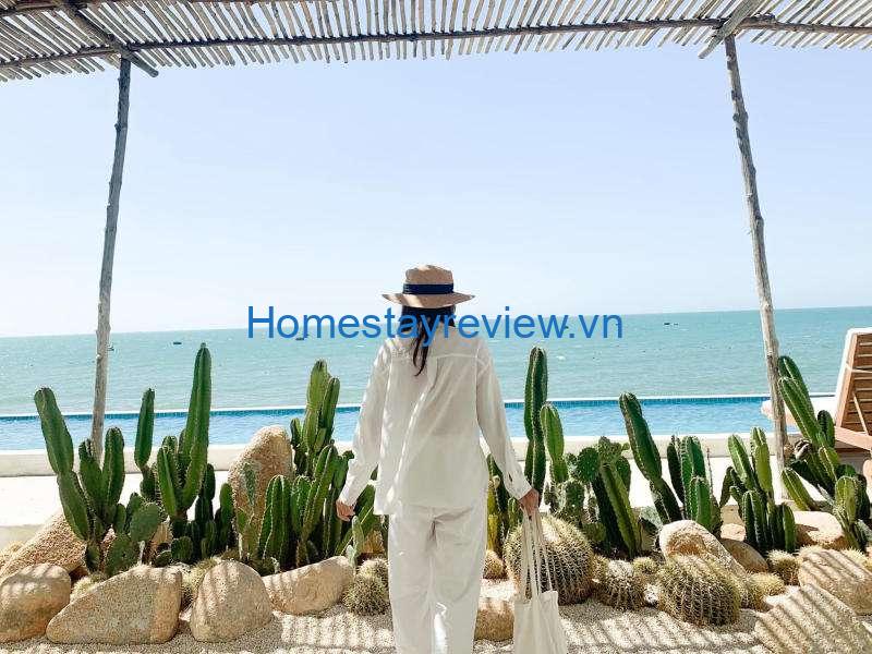 Cesar Homestay: Chốn nghĩ view sát biển Mũi Né đẹp như trong phim Hàn