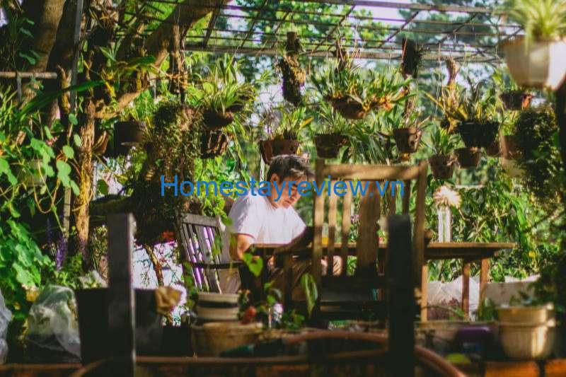Củi Homestay: Căn nhà mái lá bình yêu tràn ngập thiên nhiên ở Đà Lạt