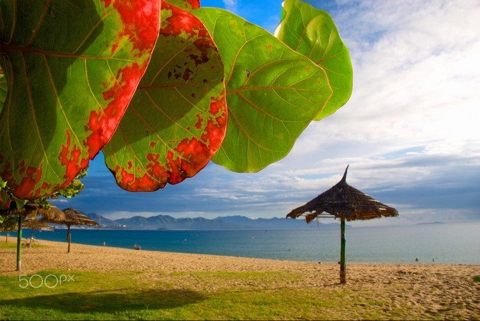 du lịch biển, du lịch khánh hòa, khám phá nha trang, nha trang tháng 3 - nghe lời thì thầm của xuân trong gió