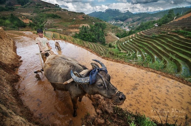 Vùng cao Việt Nam đẹp lạ qua ống kính nhiếp ảnh gia Pháp