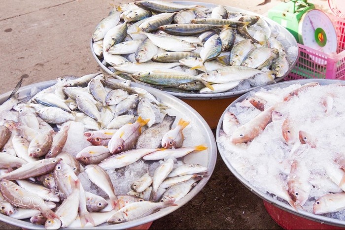 Gọi tên 4 thiên đường hải sản tuyệt nhất Việt Nam