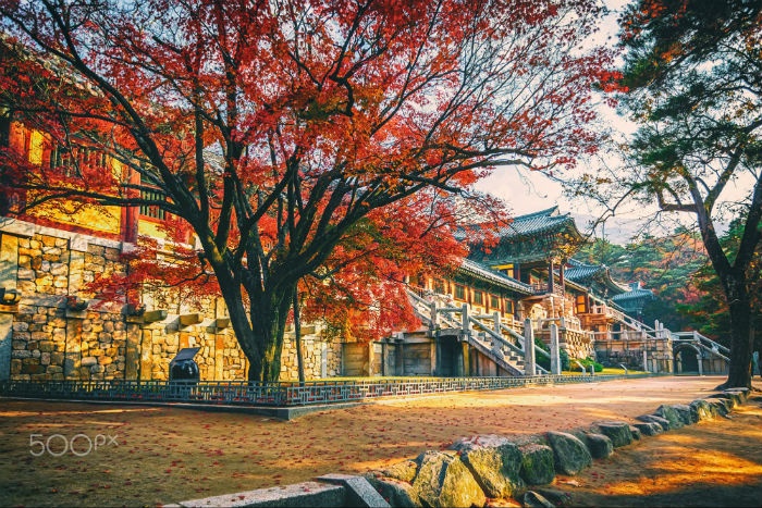 Top 10 địa điểm du lịch nhất định phải ghé thăm khi du lịch Hàn Quốc - Kỳ 2