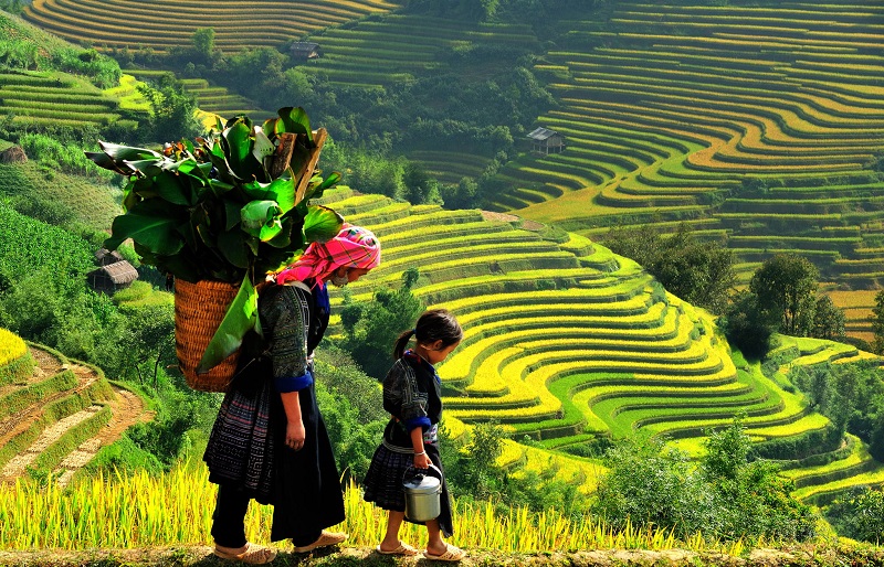Việt Nam trở thành điểm trekking hút dân du lịch bụi 