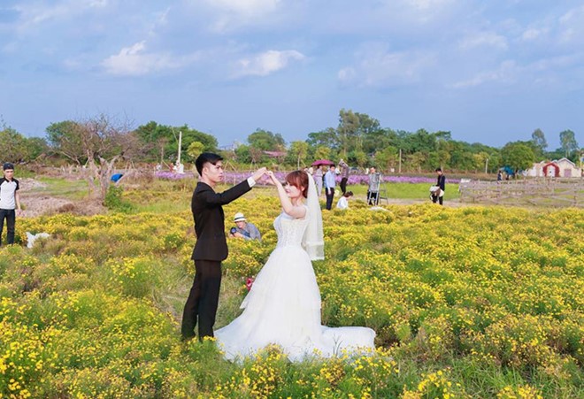 {}, bật mí thảo nguyên hoa hà nội tuyệt đẹp để chụp ảnh cưới