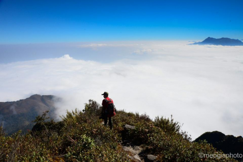 {}, săn mây trên đỉnh núi cao hơn 3.000 m của việt nam