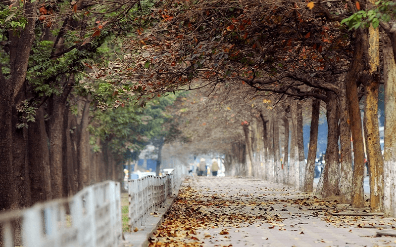 Những con đường cực đẹp vào mùa thu Hà Nội