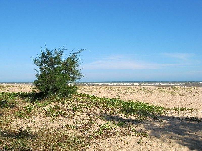 Khám phá suồi Ồ - Bãi biển sạch ở Vũng Tàu ít người biết