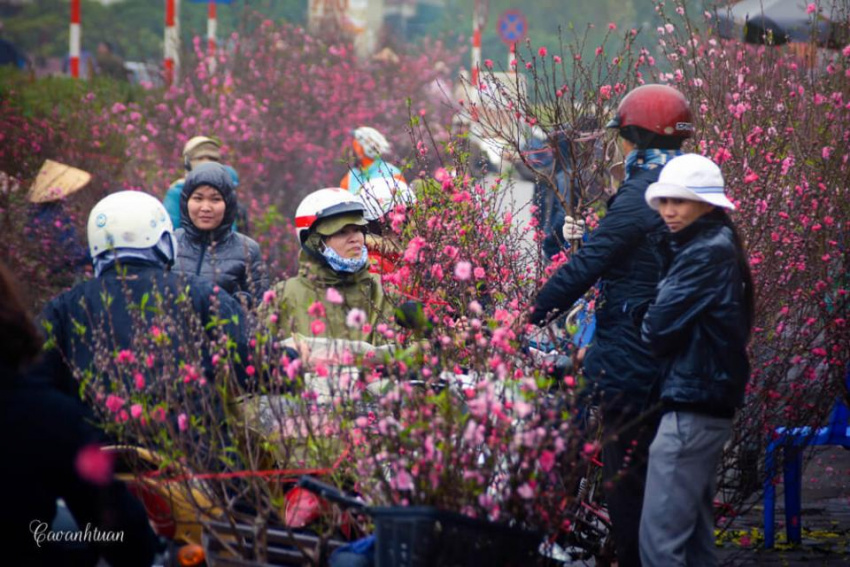 Chợ hoa đào Quảng Bá nhộn nhịp ngày giáp Tết