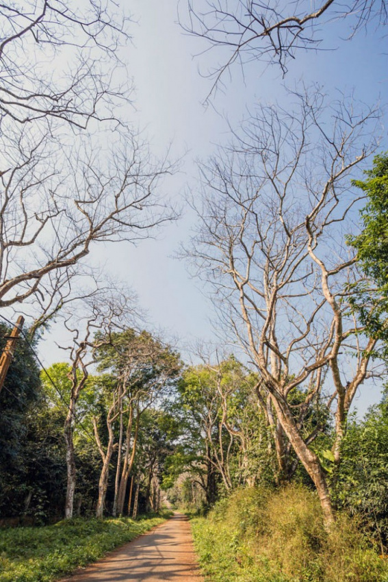 Xanh ngắt một màu 5 vườn quốc gia lớn nhất nước Việt