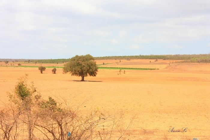 cao nguyên hòa thắng, du lịch bình thuận, du lịch phan thiết, khám phá bình thuận, cao nguyên hòa thắng - nét chấm phá của mảnh đất miền trung