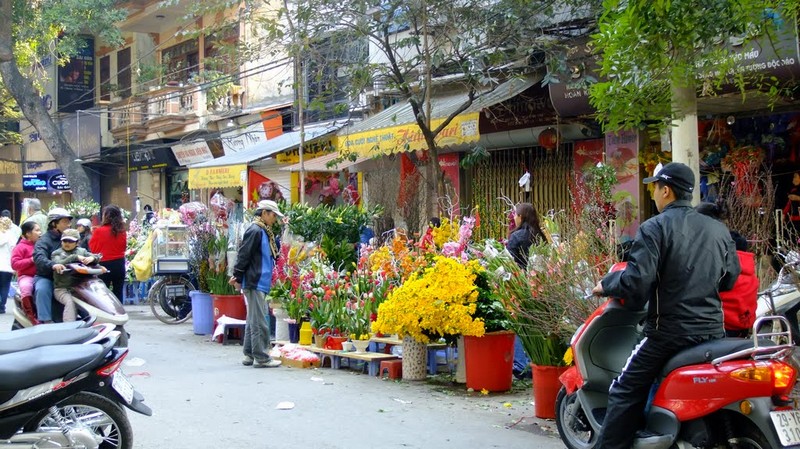 {}, cận tết ghé thăm 5 khu chợ hoa nổi tiếng ở hà nội