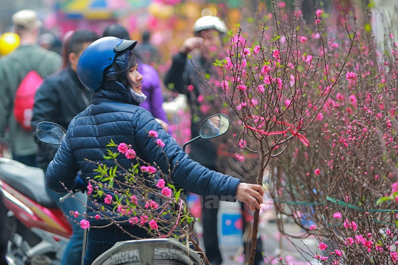 6 chợ hoa Tết nổi tiếng Hà Thành