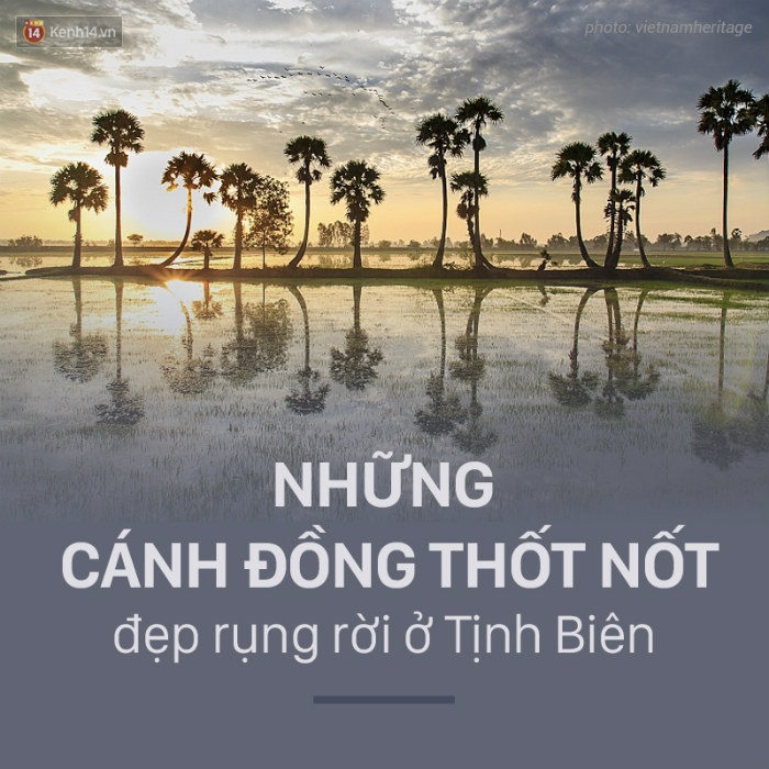 du lịch an giang, du lịch miền tây, núi sam, rừng tràm trà sư, đồi tức dụp, 13 trải nghiệm 'vừa đẹp vừa ngon' chỉ có ở an giang