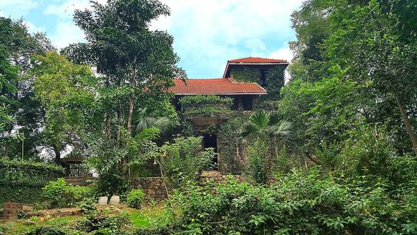 Jungle House Bắc Ninh, điểm đến cho khách thuê trọn gói để tụ tập bạn bè ngay gần Hà Nội
