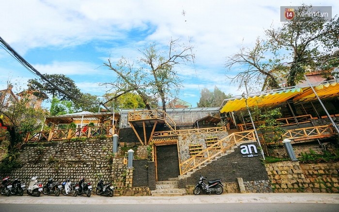 Những điều thú vị ở An - Quán cafe nằm giữa 5 cây mai anh đào cổ thụ tại Đà Lạt