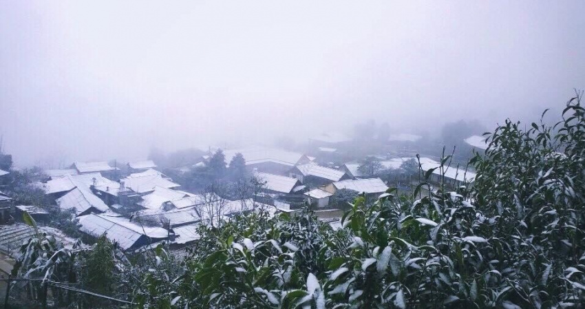 Yên Bái lần đầu có tuyết rơi thu hút khách du lịch