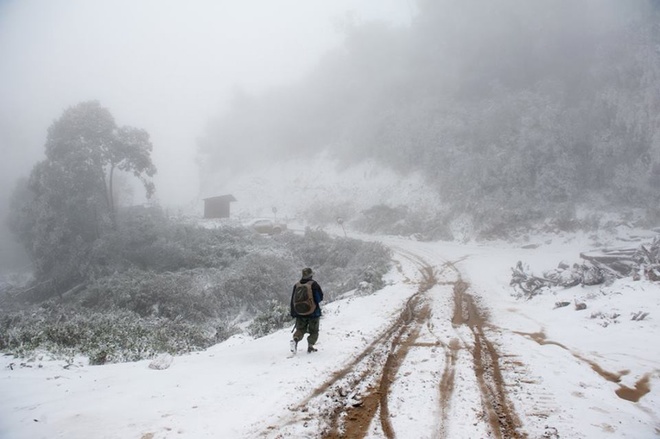 Tuyết dày 20cm lần đầu xuất hiện ở Mường Lống, Nghệ An