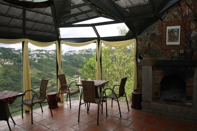 top 6 quán cafe sở hữu view rừng đẹp chao đảo ở đà lạt - kỳ 1